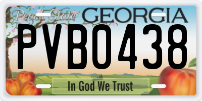 GA license plate PVB0438
