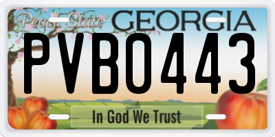 GA license plate PVB0443