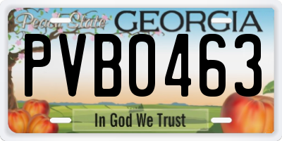 GA license plate PVB0463