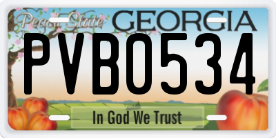 GA license plate PVB0534
