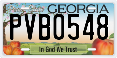GA license plate PVB0548