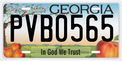 GA license plate PVB0565