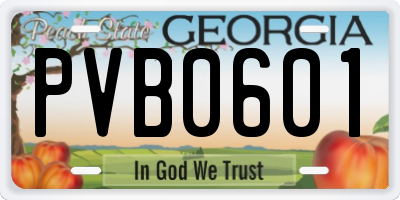 GA license plate PVB0601