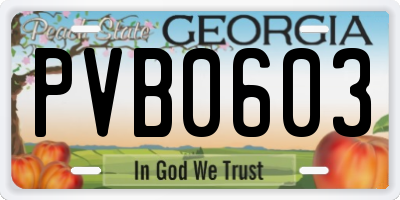 GA license plate PVB0603