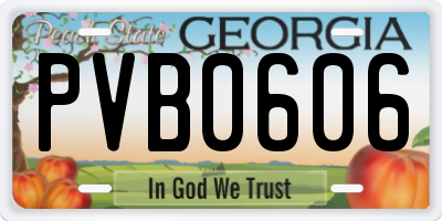 GA license plate PVB0606