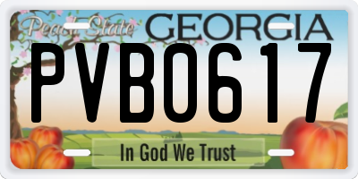 GA license plate PVB0617