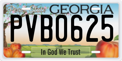 GA license plate PVB0625