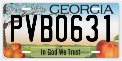 GA license plate PVB0631