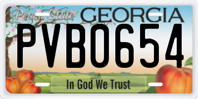 GA license plate PVB0654