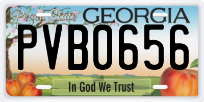 GA license plate PVB0656