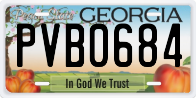 GA license plate PVB0684