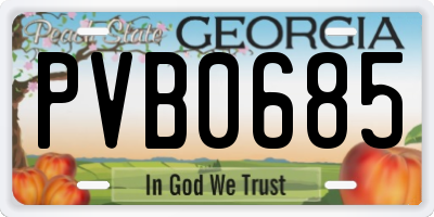 GA license plate PVB0685