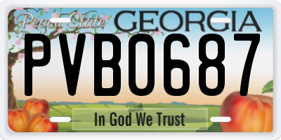 GA license plate PVB0687