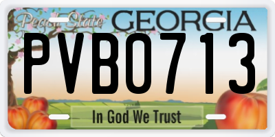 GA license plate PVB0713