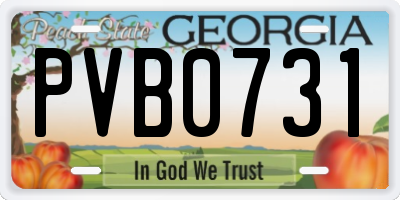 GA license plate PVB0731