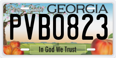 GA license plate PVB0823