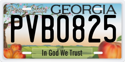 GA license plate PVB0825