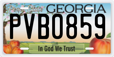 GA license plate PVB0859