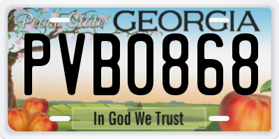 GA license plate PVB0868