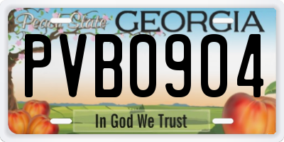 GA license plate PVB0904