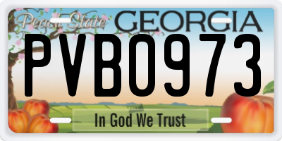 GA license plate PVB0973