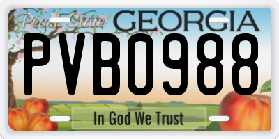 GA license plate PVB0988