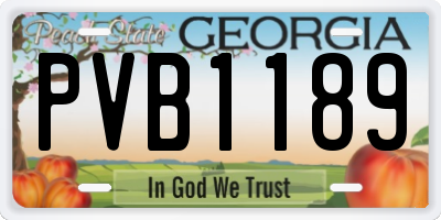 GA license plate PVB1189