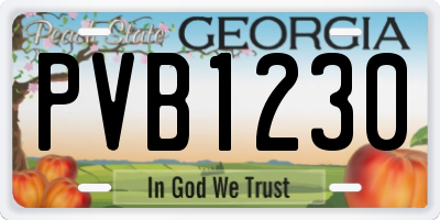 GA license plate PVB1230