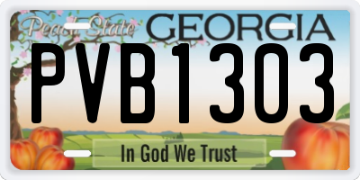 GA license plate PVB1303