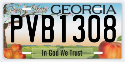 GA license plate PVB1308