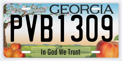 GA license plate PVB1309