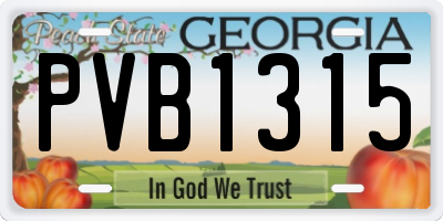 GA license plate PVB1315