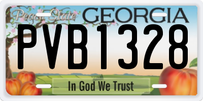 GA license plate PVB1328