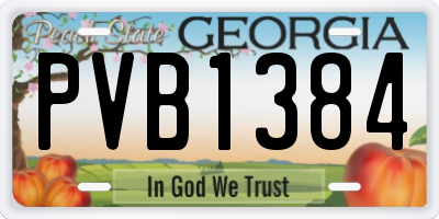 GA license plate PVB1384