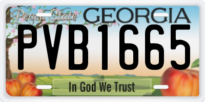 GA license plate PVB1665