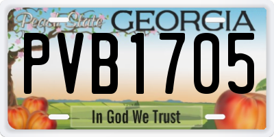 GA license plate PVB1705