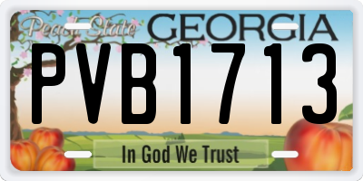 GA license plate PVB1713