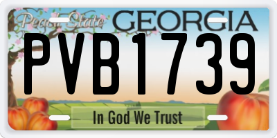 GA license plate PVB1739