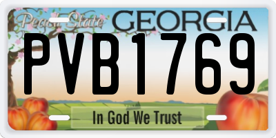 GA license plate PVB1769