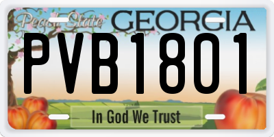 GA license plate PVB1801