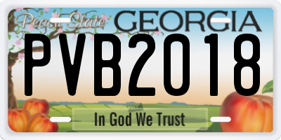 GA license plate PVB2018