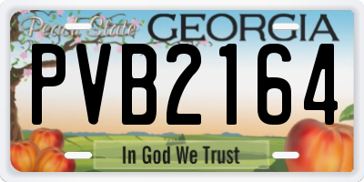 GA license plate PVB2164