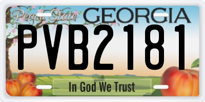 GA license plate PVB2181