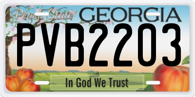 GA license plate PVB2203