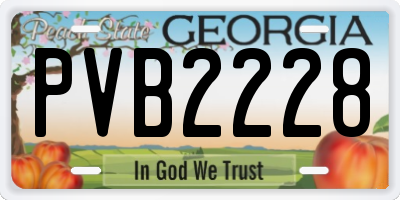 GA license plate PVB2228