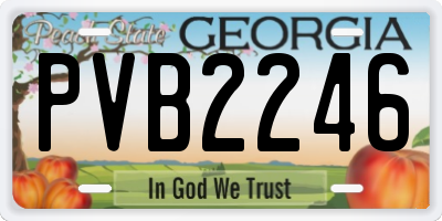 GA license plate PVB2246