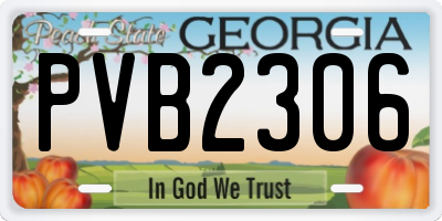GA license plate PVB2306