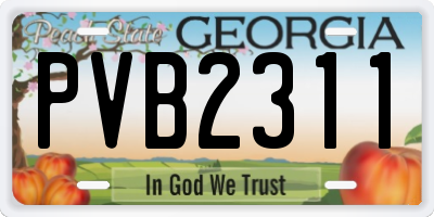 GA license plate PVB2311