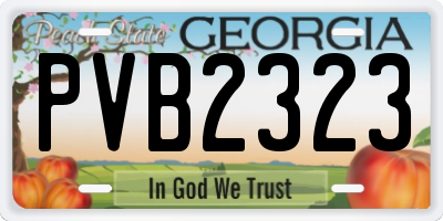 GA license plate PVB2323