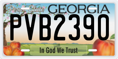 GA license plate PVB2390